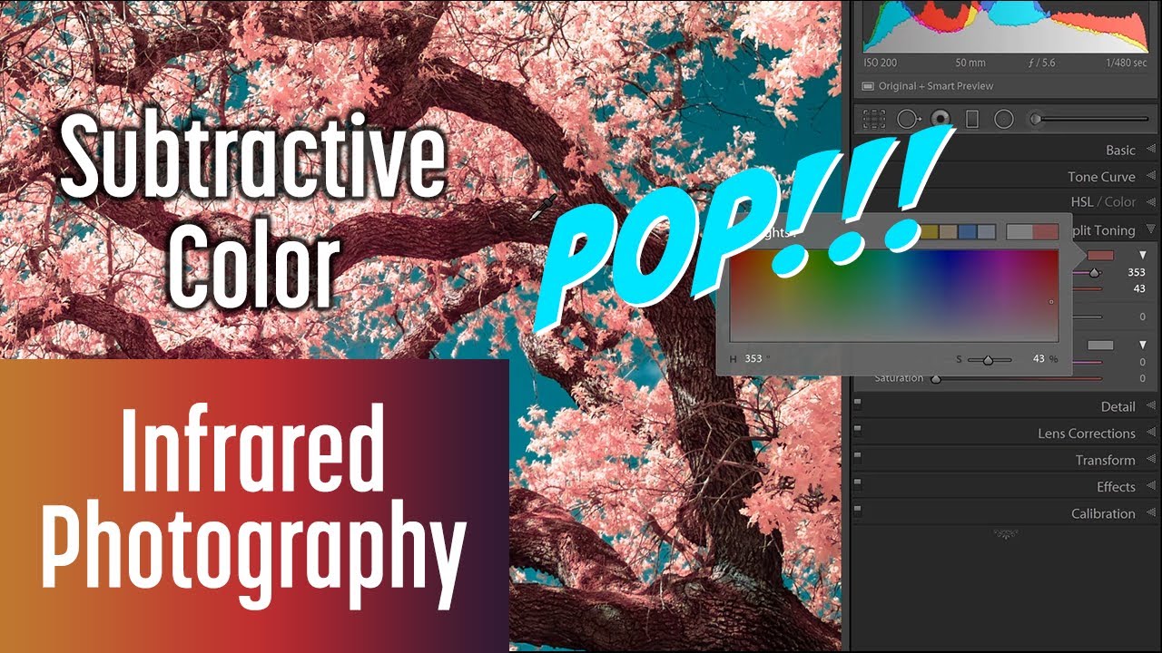 Secret to Colors that POP in Infrared Photography