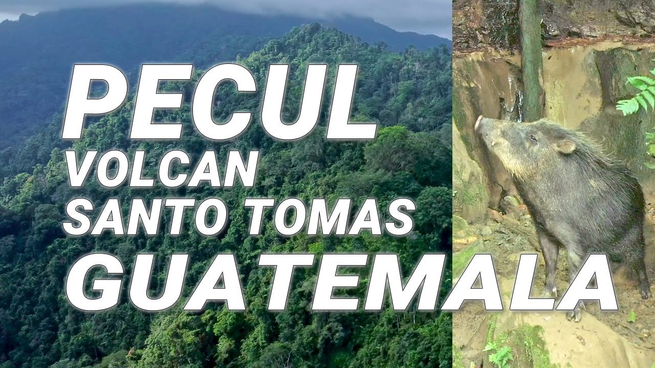 Explorando las faldas del Volcán Santo Tomas Pecul #Guatemala