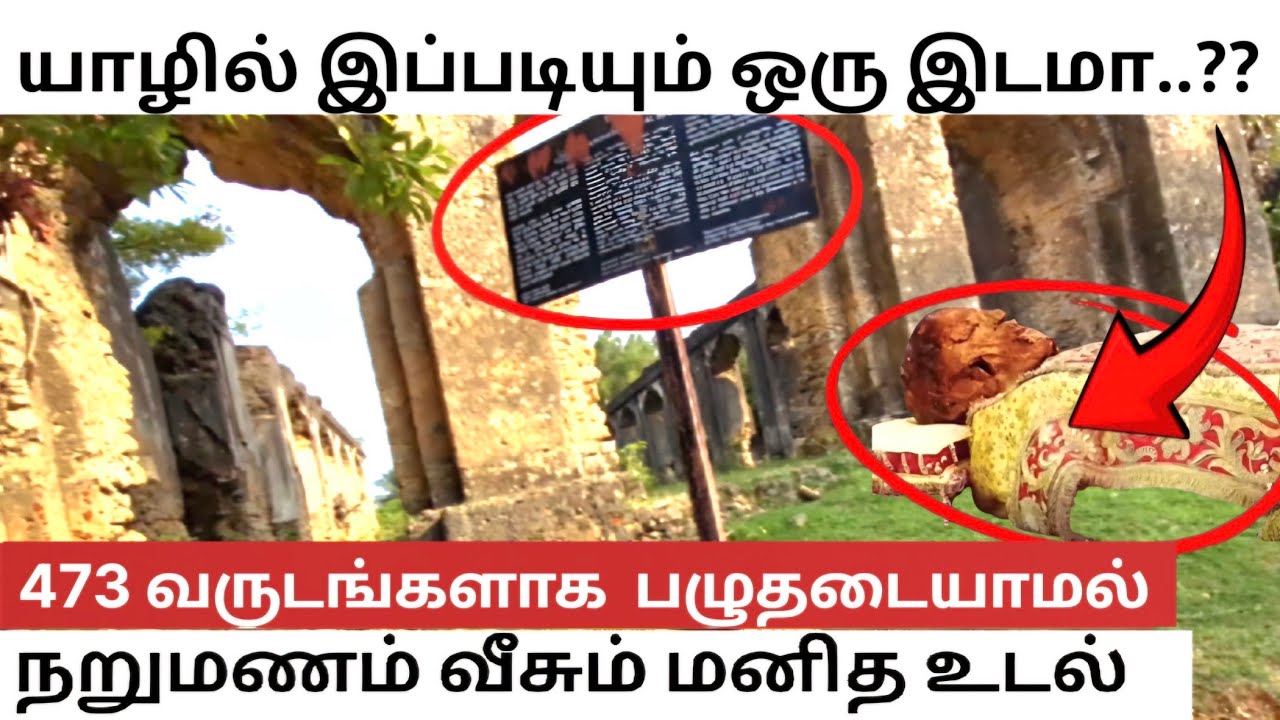 🔴யாழில் கைவிடப்பட்ட தேவாலயத்தில் நடக்கும் அமானுஷ்யங்கள்? 450 வருடங்கள் பழுதடையாத மனிதஉடல் #newjaffna