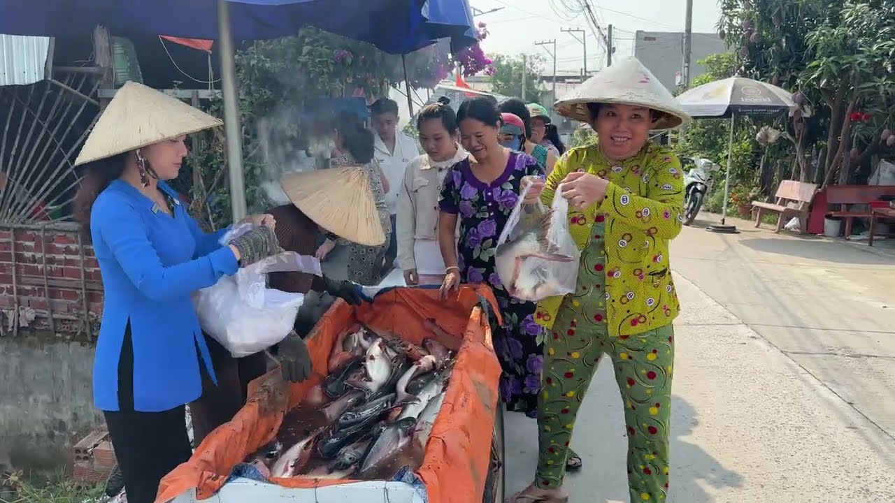 Chú Việt Ở Úc Mua Mão Hầm Cá Của Ông Út Gửi Tặng Bà Con / Nhà Quê #591