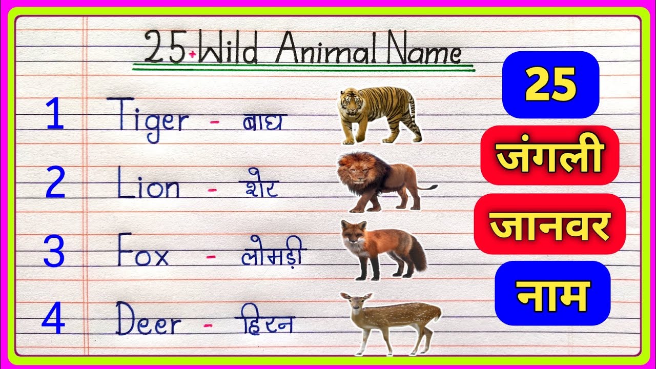 25 Wild Animals Name in Hindi and English/जंगली जानवर के नाम/Wild Animals Name/25 Wild Animals Name