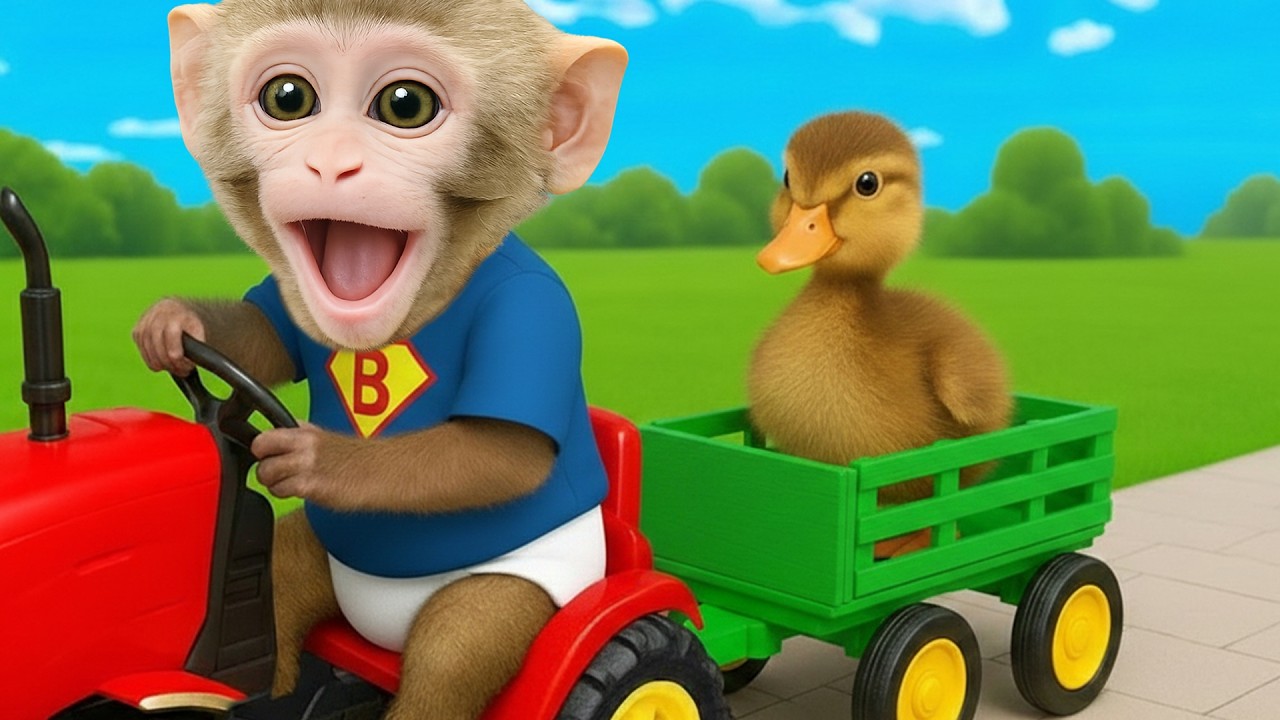 Semua Panik Saat Bebek Itu Dalam Bahaya… Aksi Bim Bikin Haru!