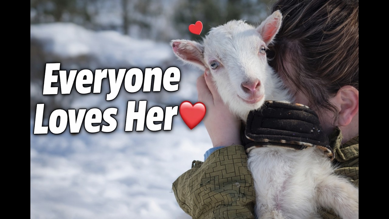 Коза из мультфильма «Луни Тюнз» и её друзья с фермы ❤️🐐