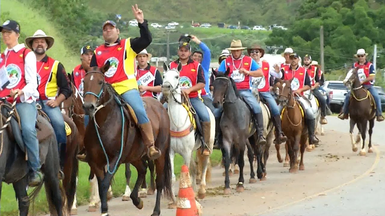 Cavalgada com Mangalarga Marchador, em Caxambu, no Sul de Minas, reúne milhares de cavalos