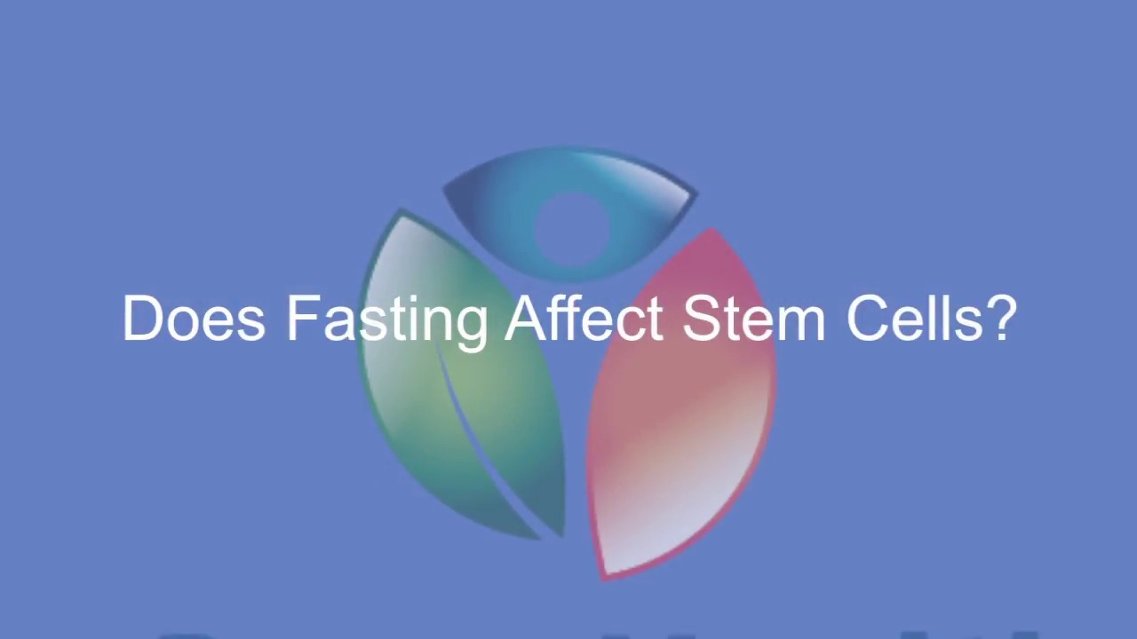 Does Fasting Affect Stem Cells?