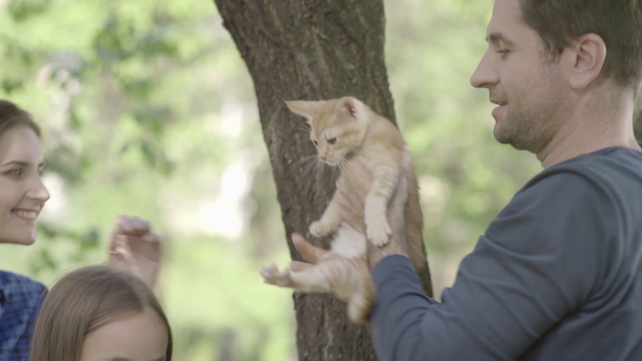 Mine Risk Education PSA - Kitten