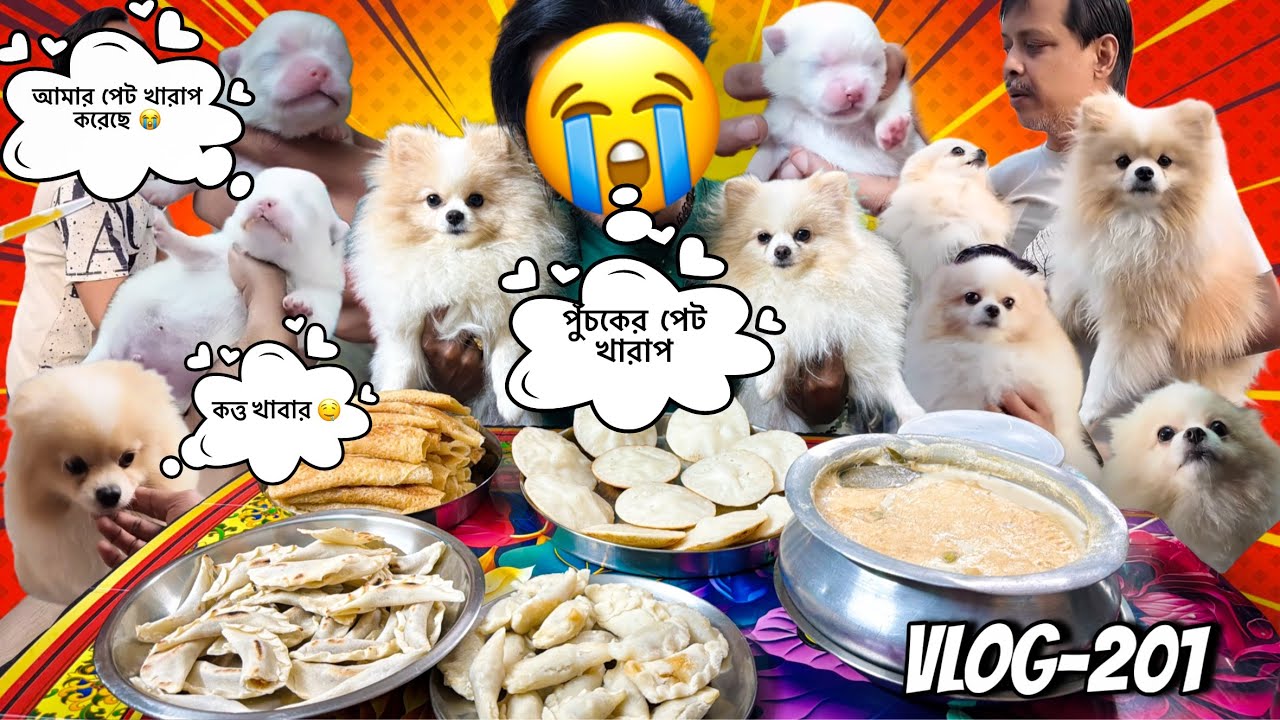 পুঁচকে টার আজ কি হলো 😔🥺 (Vlog-201)