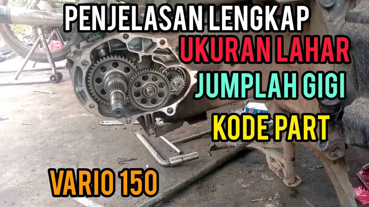 CARA PASANG GIGI TRANSMISI VARIO 150