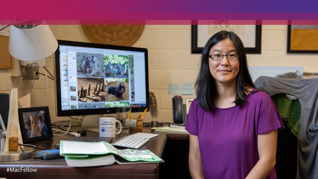 Jenny Tung, Evolutionary Anthropologist and Geneticist | 2019 MacArthur Fellow