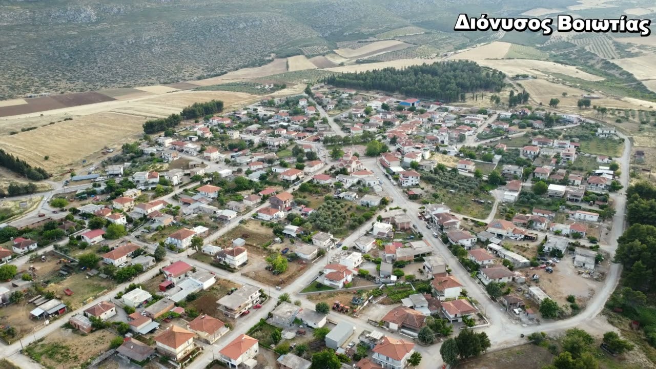 ΝΑΝΣΥ ΣΑΡΑΒΑΚΟΥ - ΧΟΡΕΥΤΙΚΑ