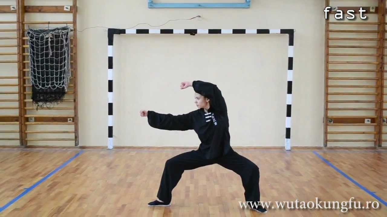 Wudang Ji Ben Quan