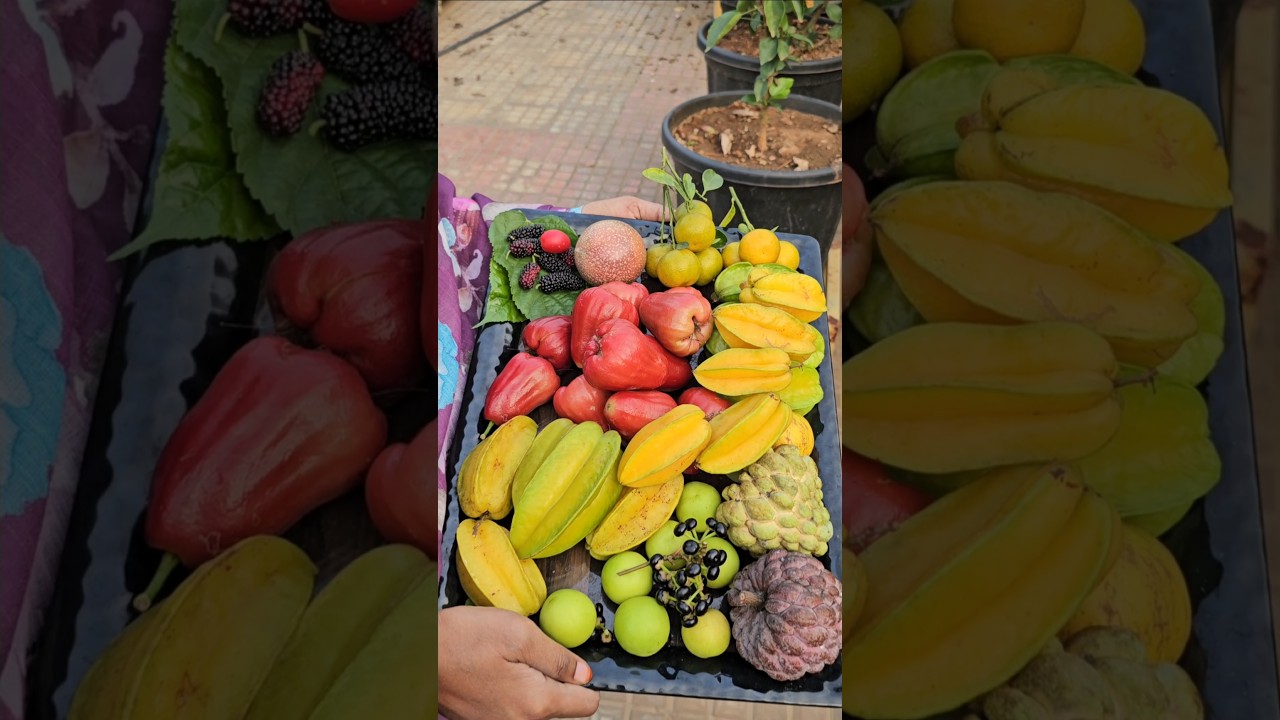 Fruits harvesting in my garden #fruits #harvesting #mygarden #gardening #shortvideo #ytshorts