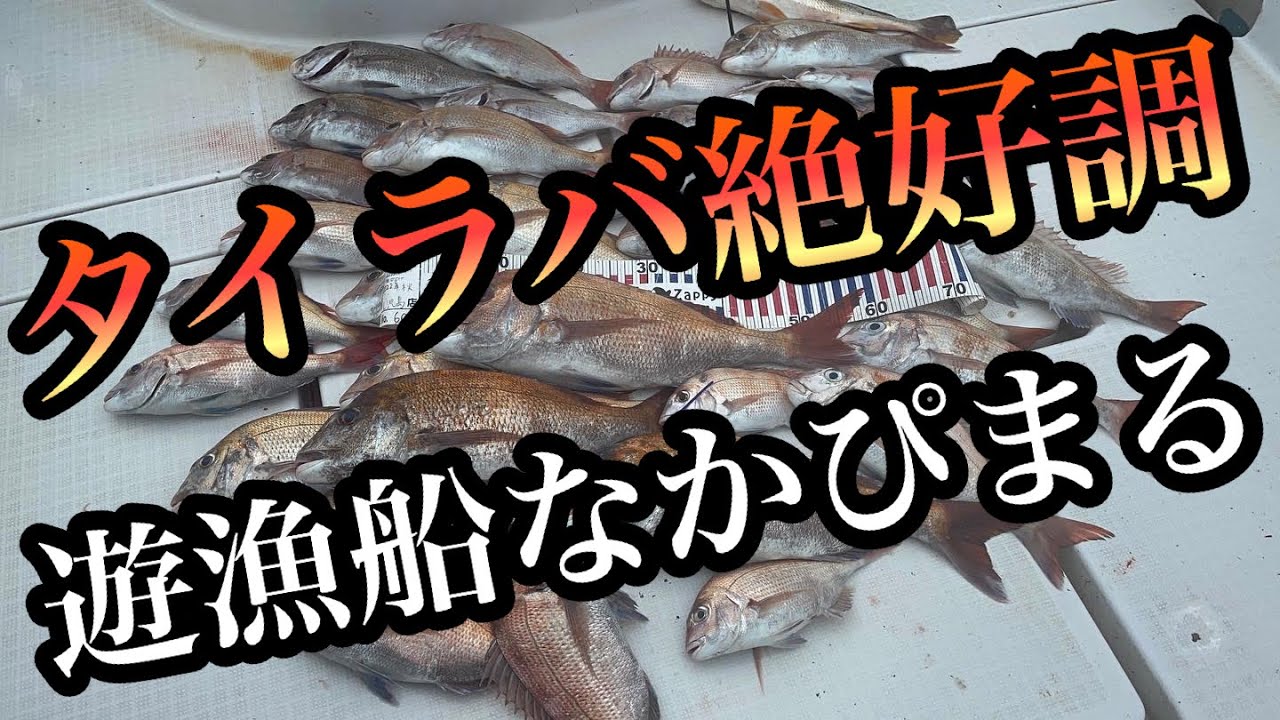 遊漁船なかぴまるでタイラバをしたらたくさん釣れて楽しかった。