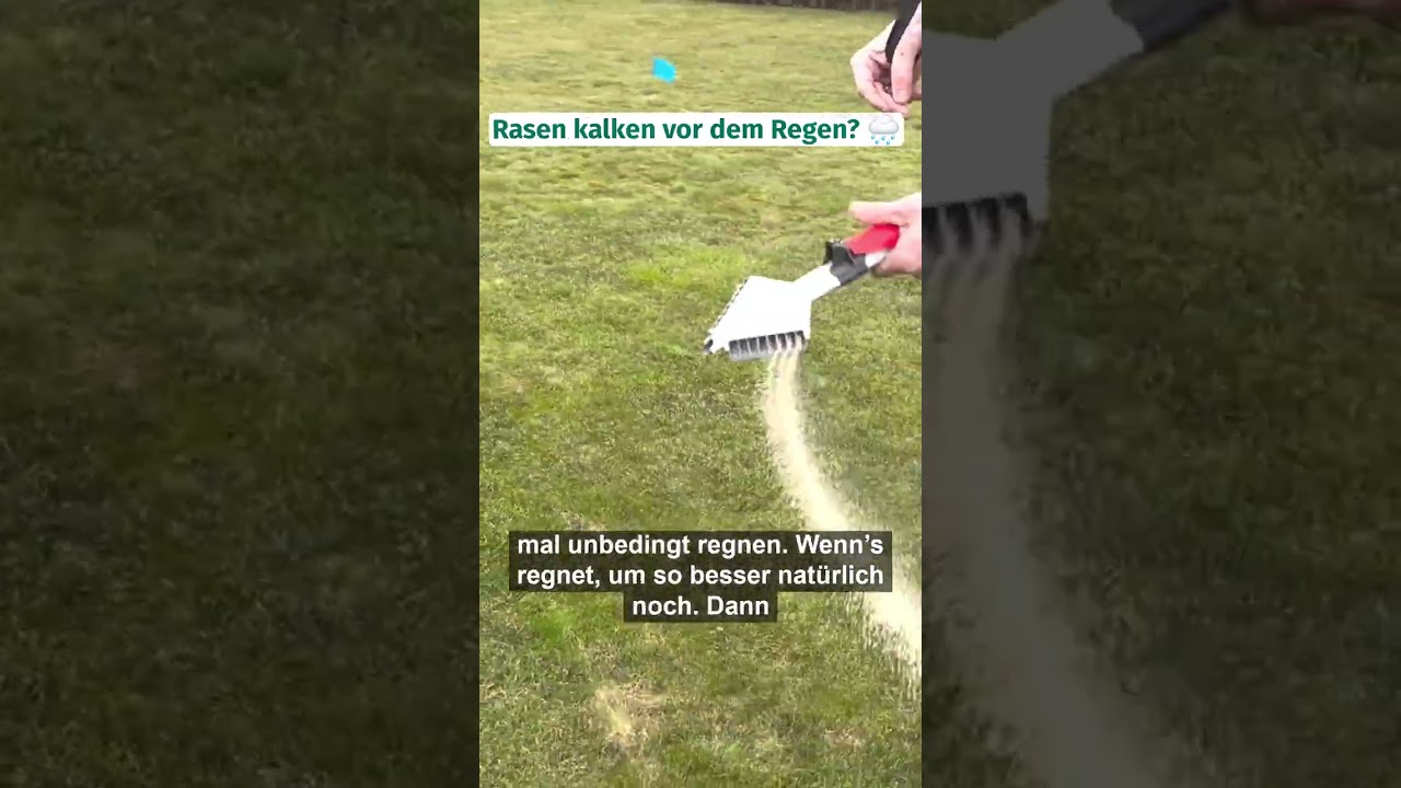 Sollte man den Rasen vor dem Regen kalken? 🤔 #foryou #rasenkalk #lawn #garten #kalk #unkraut