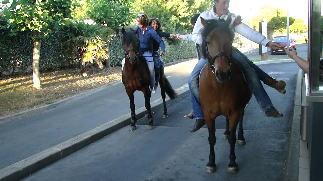 Mc Drive à poney! Venez comme vous êtes.. ;)