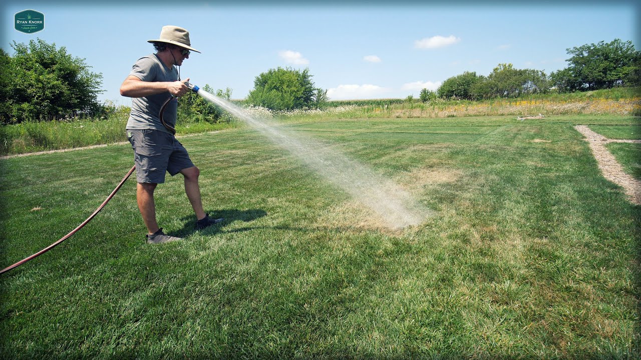 How To Fix DRY SPOTS In Your Lawn