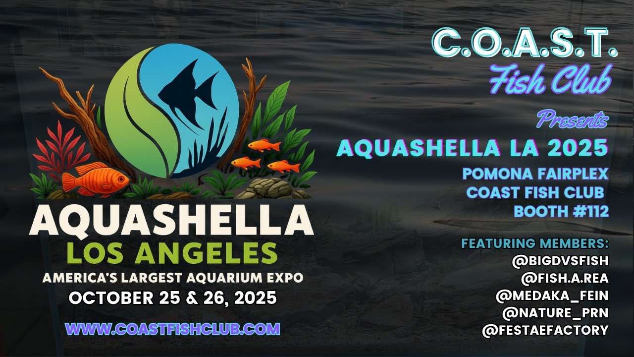 AQUASHELLA LA 2025 @ Pomona Fairplex presented by C.O.A.S.T. Fish Club 10/25 & 10/26/25 - Audio Edit