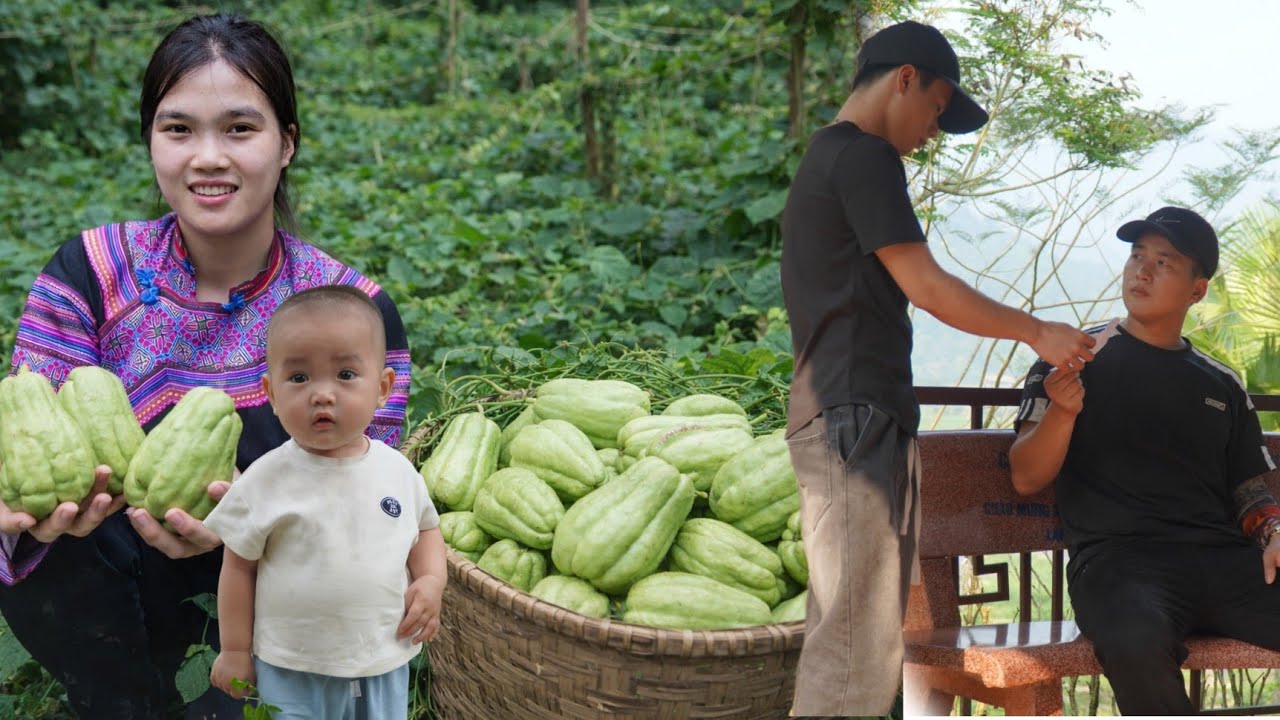 16-year-old single mother harvests chayote to sell at a distant market - A day without Jon.