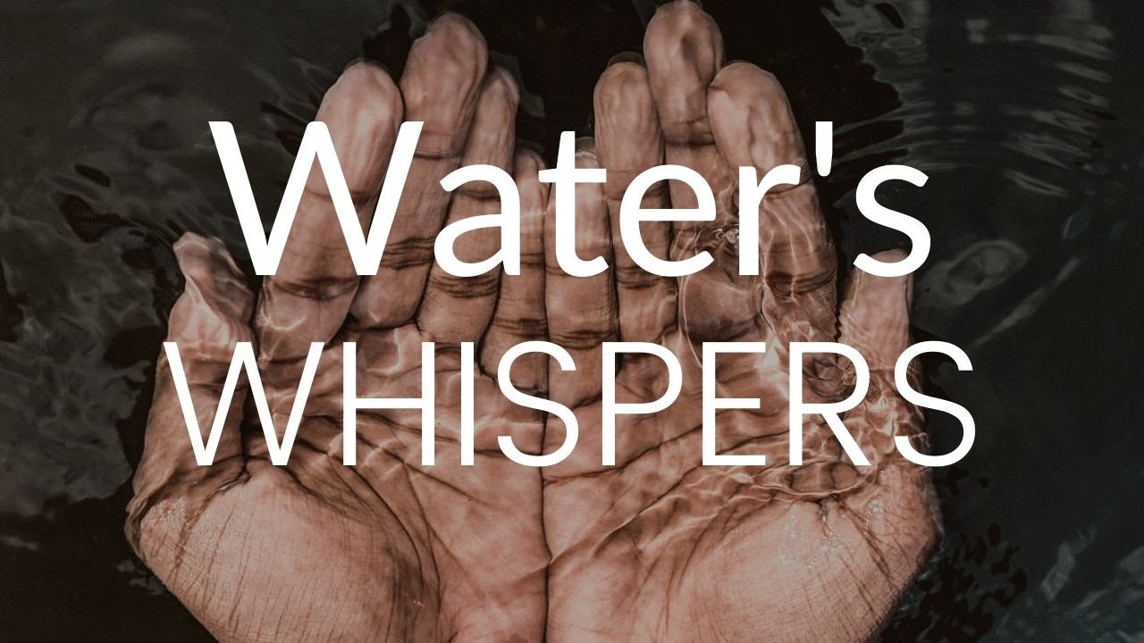 Elements of Nature: Water Element | Mindfulness Nature Connection
