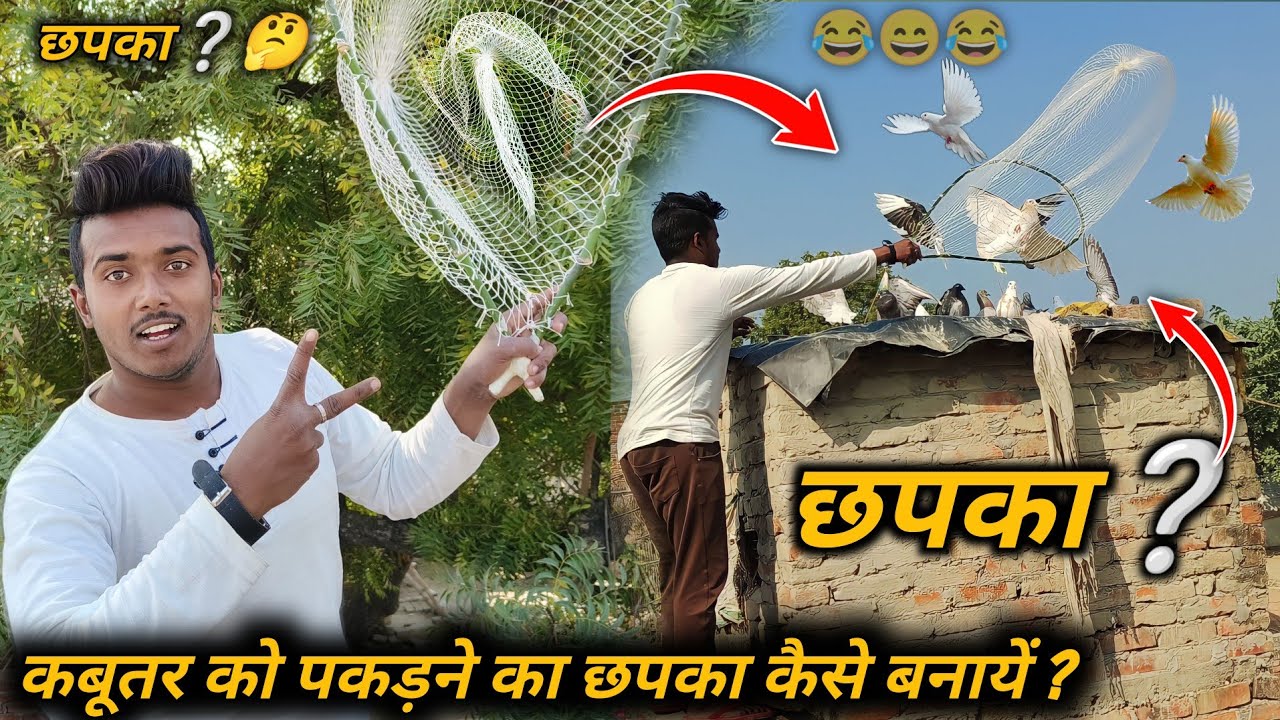 🤔🕊️कबूतर को पकड़ने का छपका कैसे बनायें ?😂✌️😂