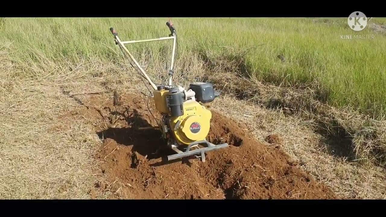 Tudo sobre o motocultivador a diesel! Minha opinião, como usar e se indico o modelo da Buffalo!