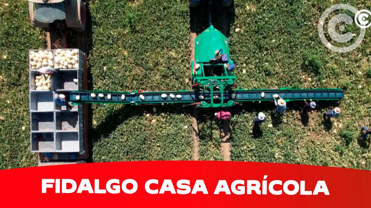 Clube de Produtores Continente | Fidalgo Casa Agrícola