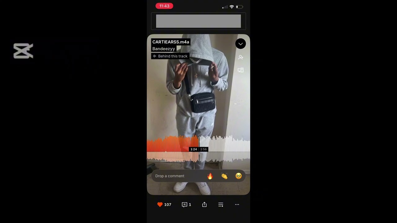 Bandeezyy -CARTIEARS 