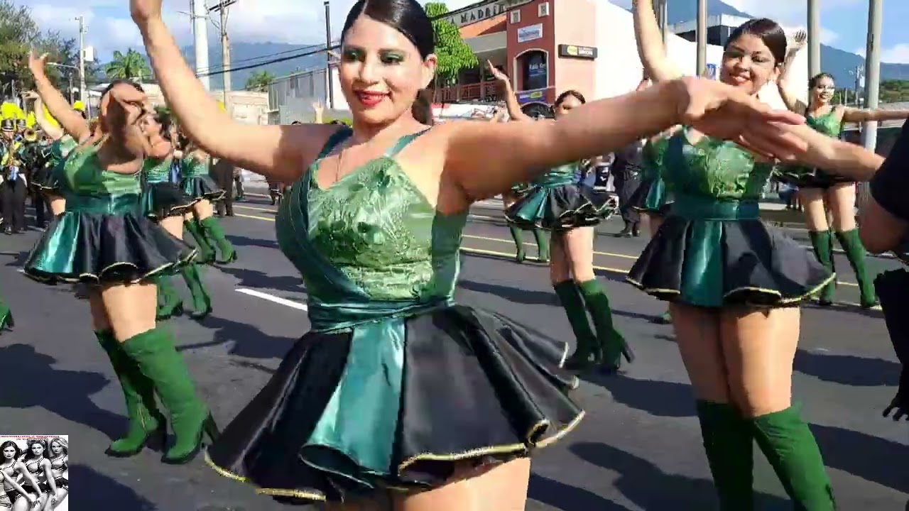 Cocodrilos marching band 2024.