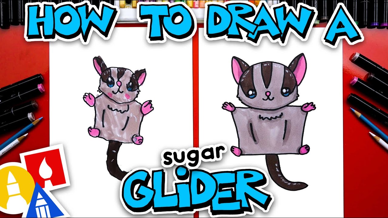 How To Draw A Sugar Glider