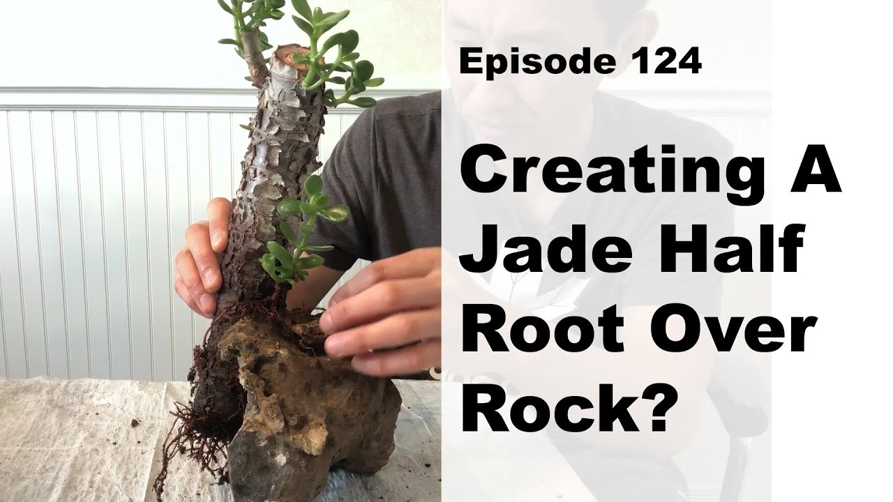 Episode 124, Creating A Jade Half Root Over Rock?