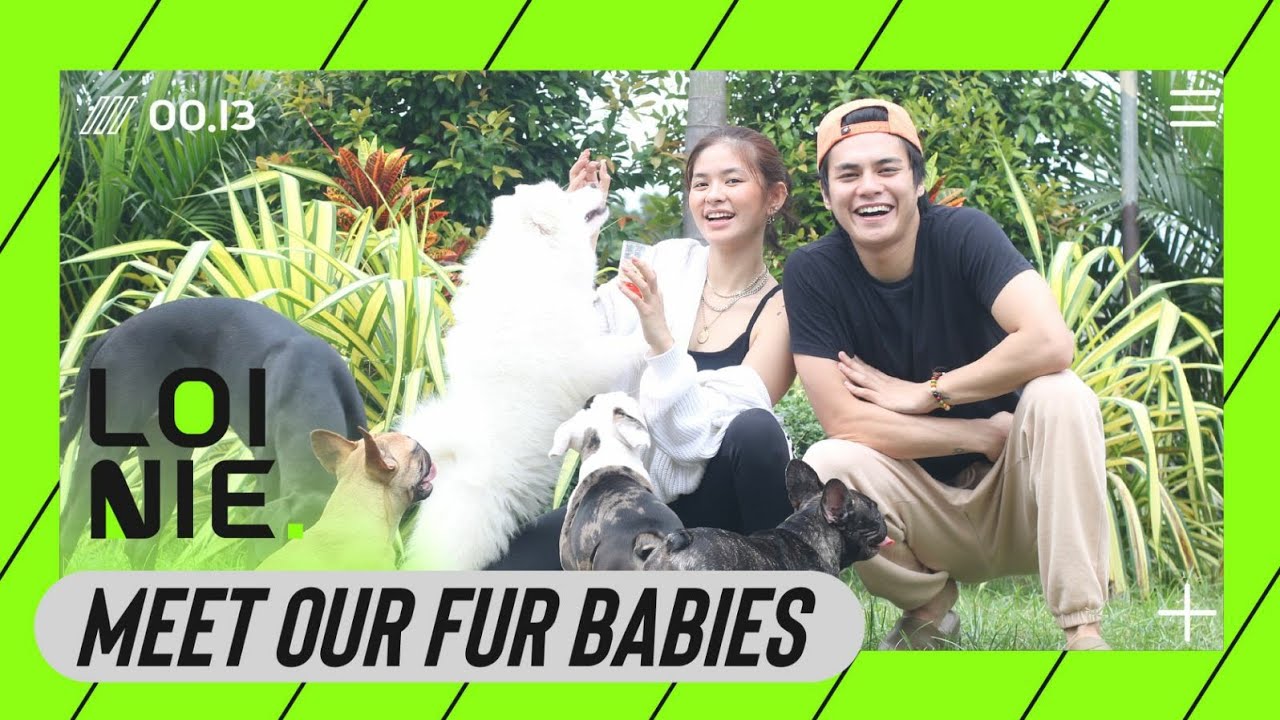 Meet Our Fur Babies | Loinie TV