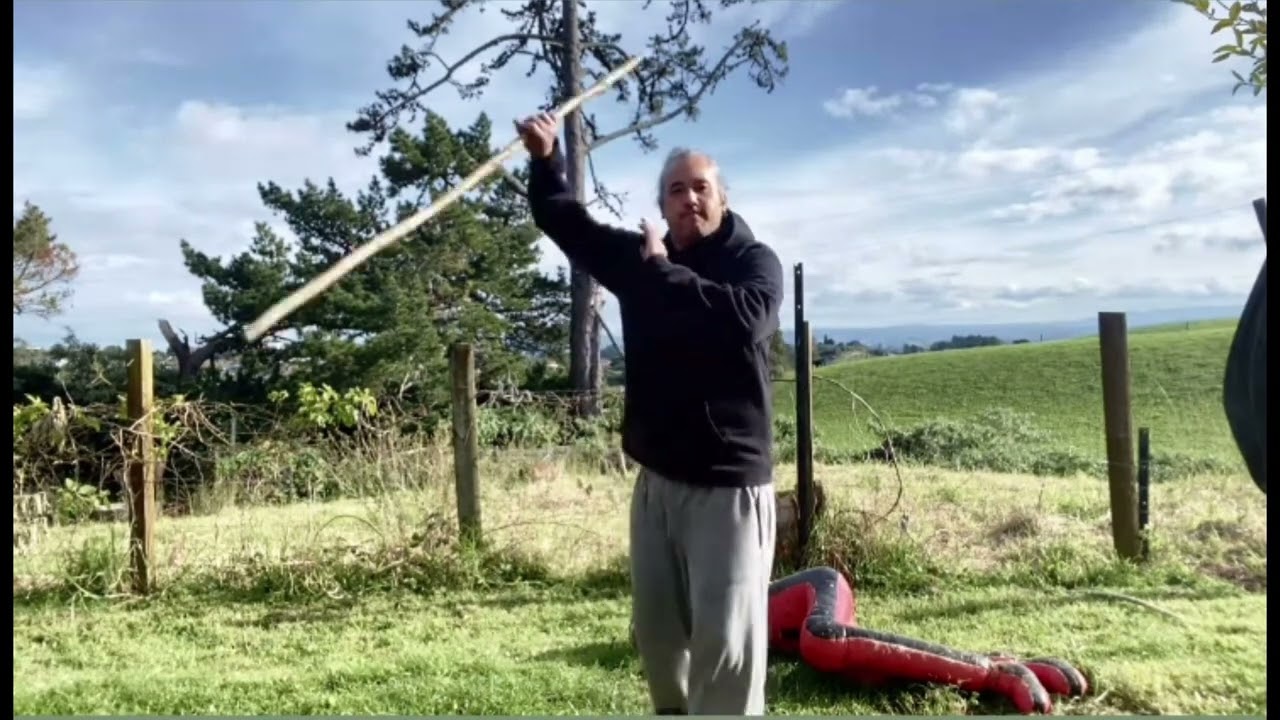 Mau Rakau - Workout #maurakau #māoriculture #martialarts