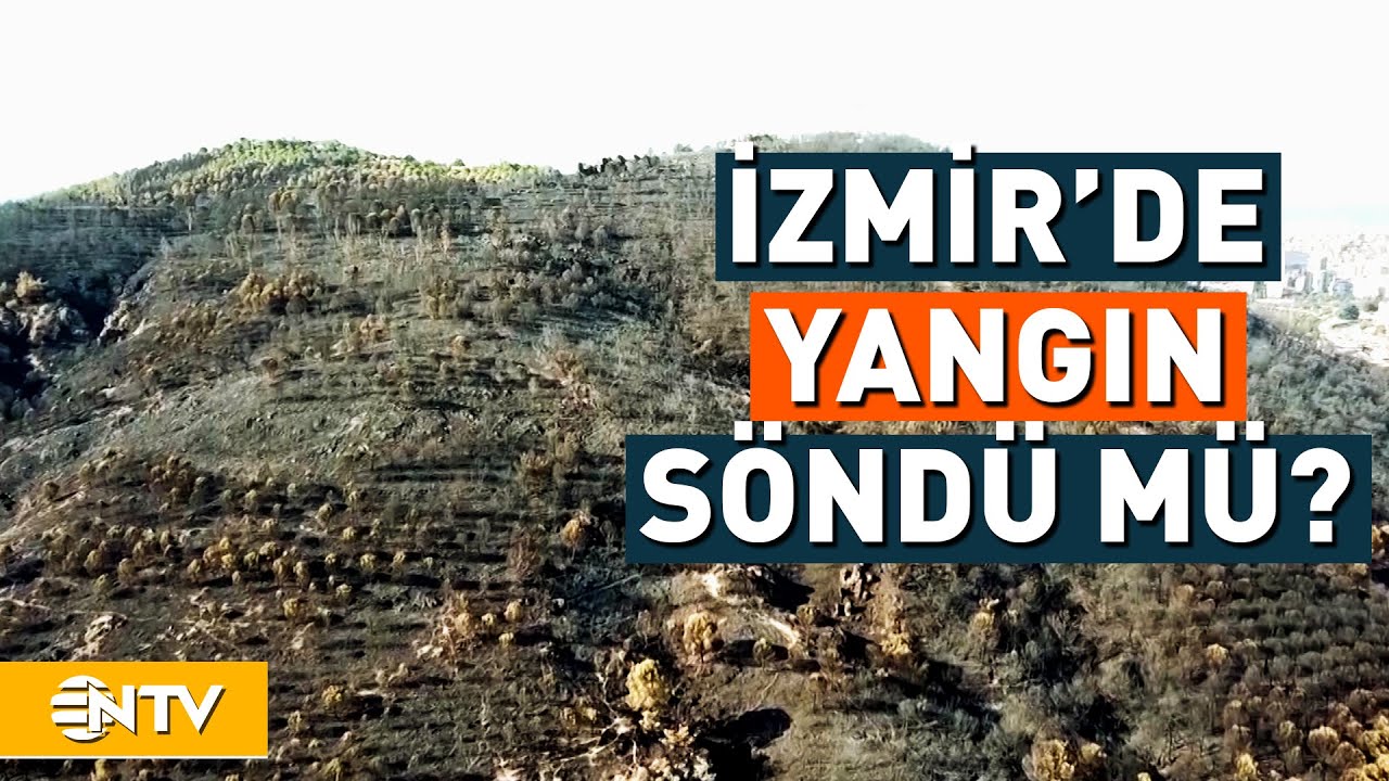 Yangın Bölgelerinde Son Durum! İzmir'de 22 Kişi Gözaltına Alındı | NTV