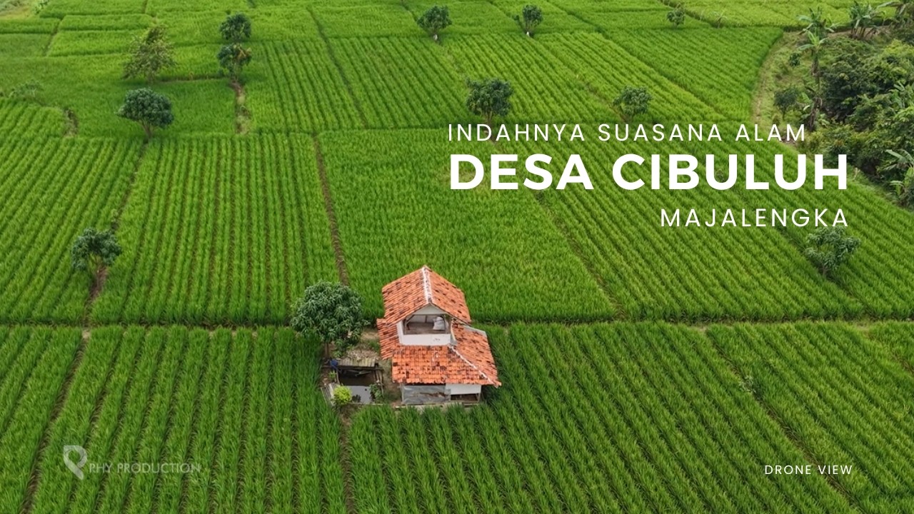 Menikmati Indahnya Suasana Pesawahan Tadah Hujan sekitar Desa Cibuluh - Ujungjaya, Majalengka