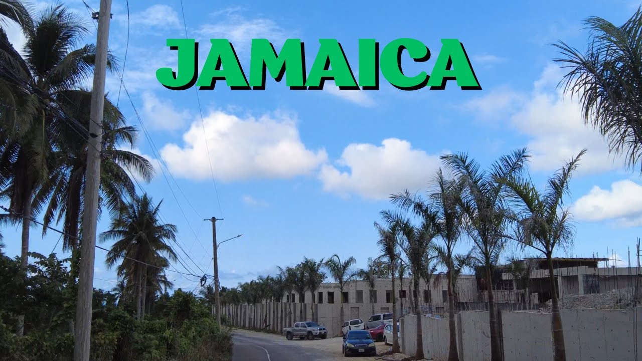 Exploring Jamaica's HIDDEN GEM Breadnut Hill in St Ann 2025