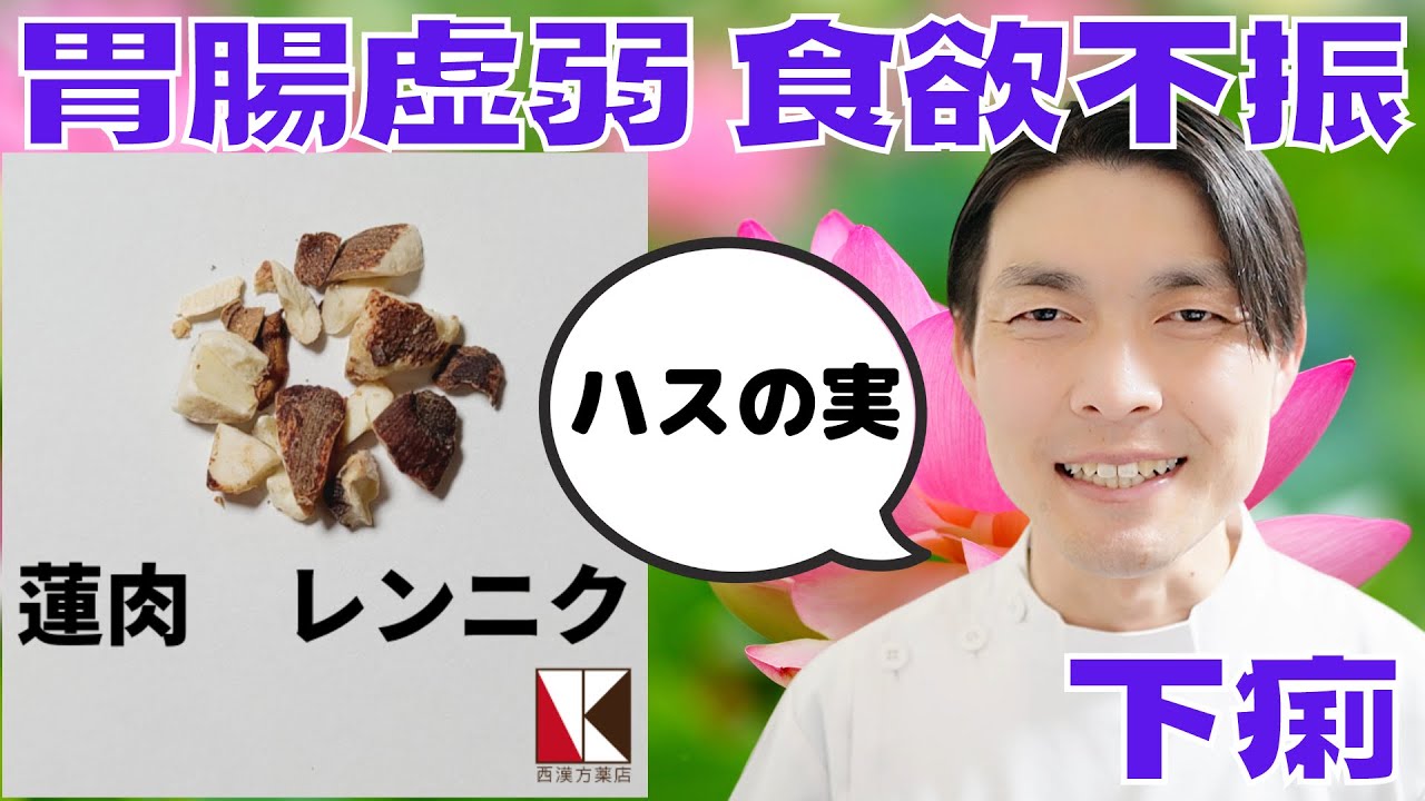 【漢方薬】蓮肉（レンニク）1分で分かる生薬解説　～改訂版～