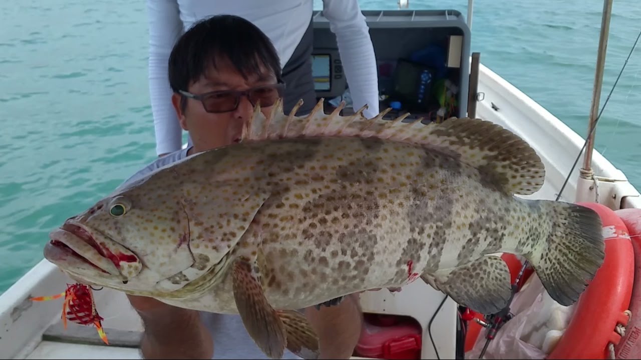Big Grouper Micro Jig, Slow Jig, Madai. Ep 40 ONZZ Fishing Singapore
