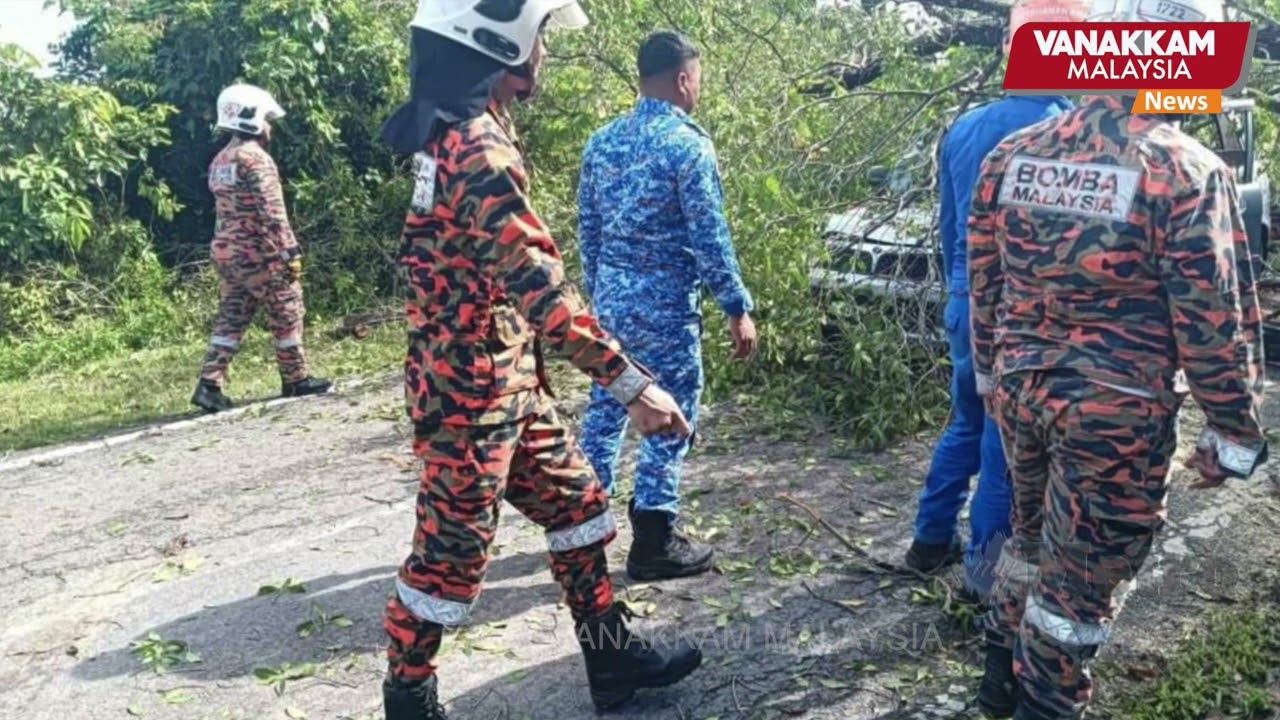 13/12/2024: Five injured as tree falls onto vehicle in Kota Belud