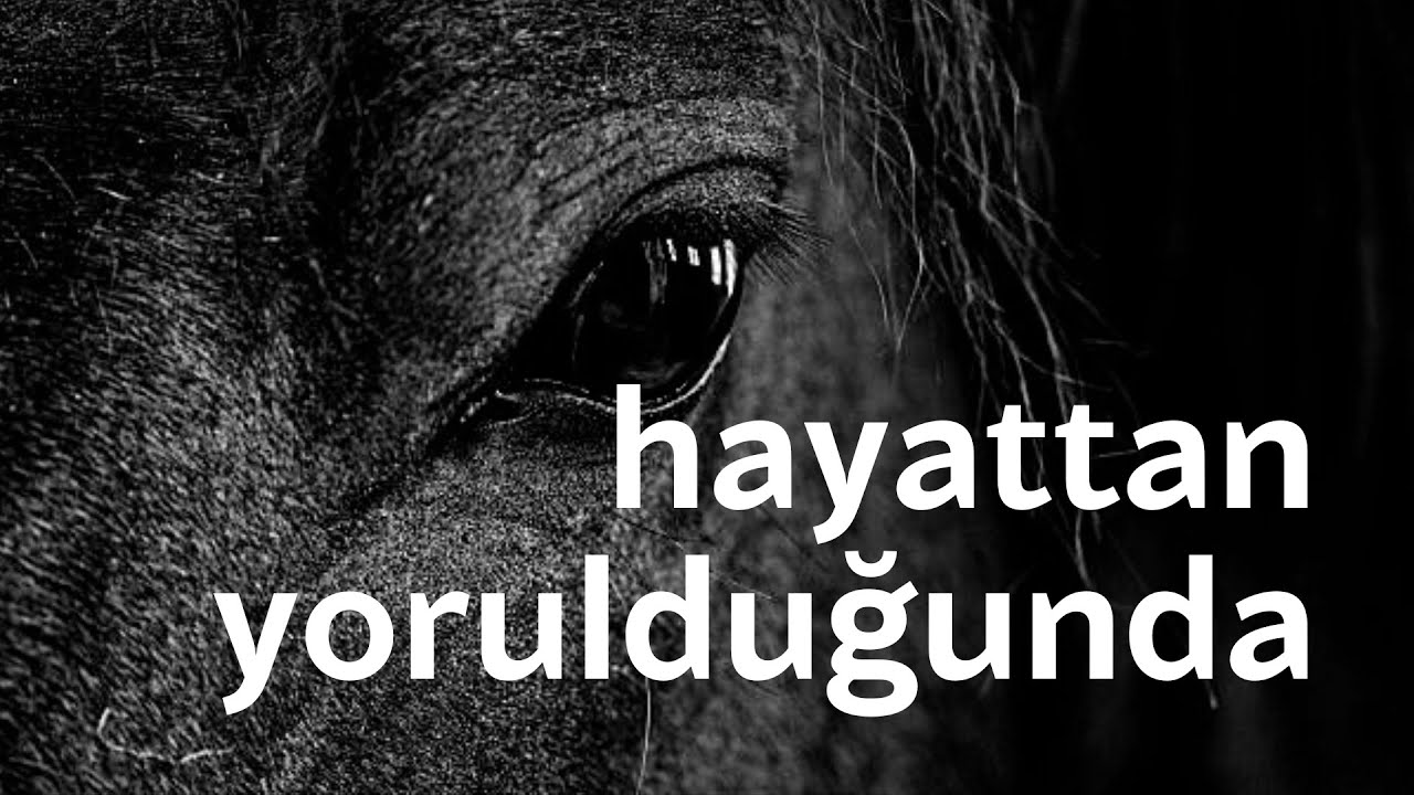 Hayat yorgunluğu