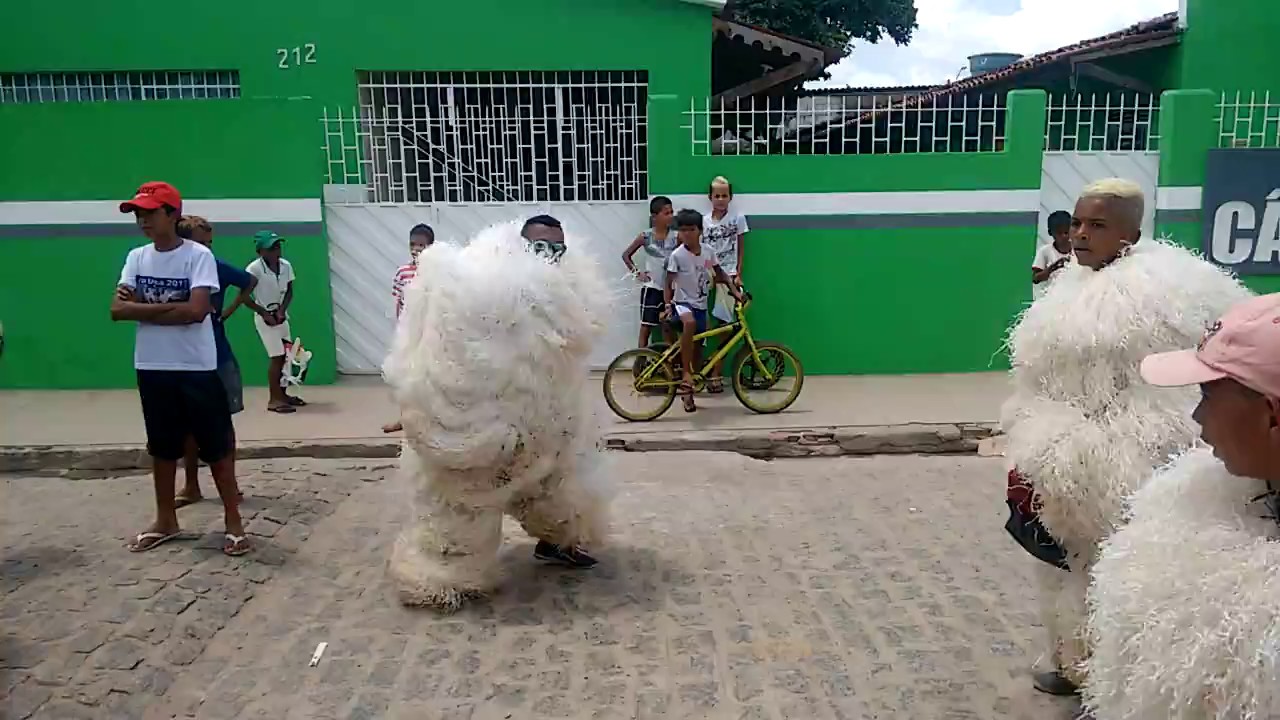 Alá ursa De Itambé-PE!!!!