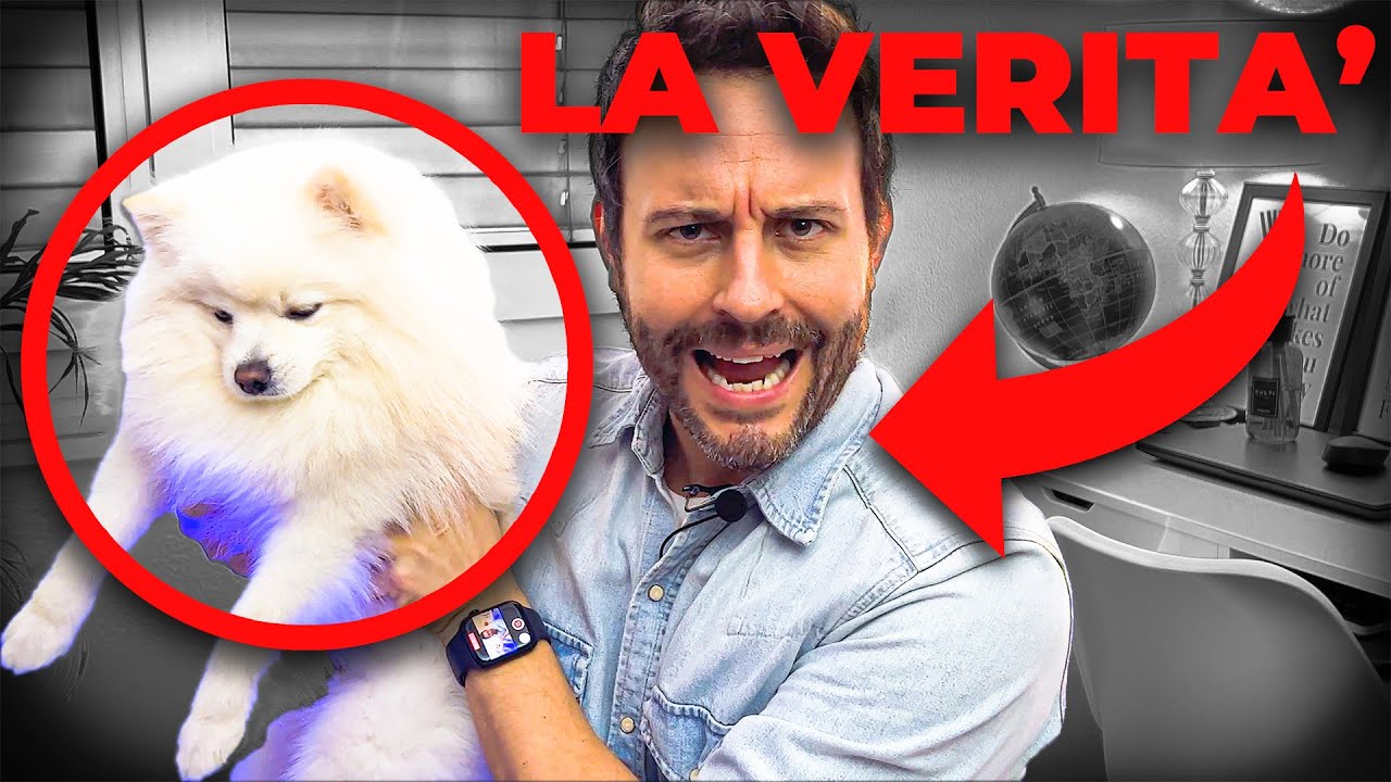 TUTTO quello che AVREI VOLUTO SAPERE prima di PRENDERE UN CANE 🐶