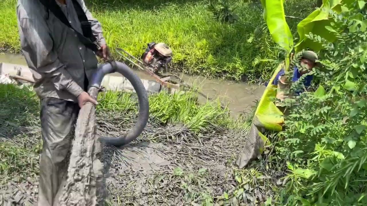 Máy bơm bùn cho vườn cây ăn trái sao hiệu quả