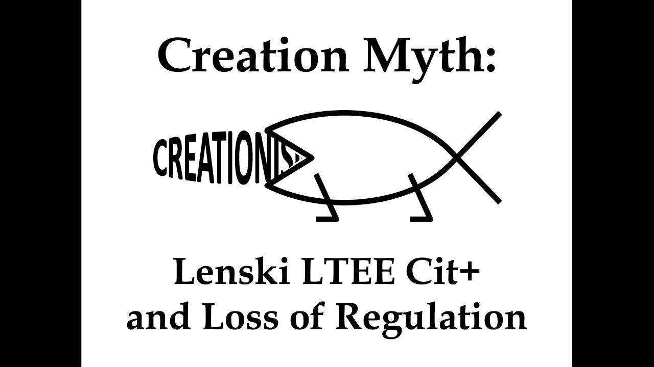 Миф о создании: Lenski LTEE Cit+ и потеря регулирования