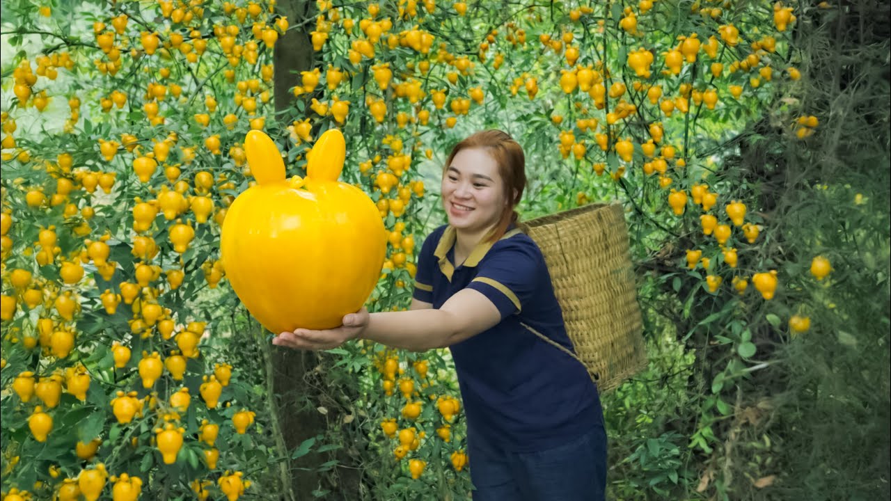Hand-Picked GIANT Golden Fruit to the Village Market | A Gentle Country Day Seniors Will Love