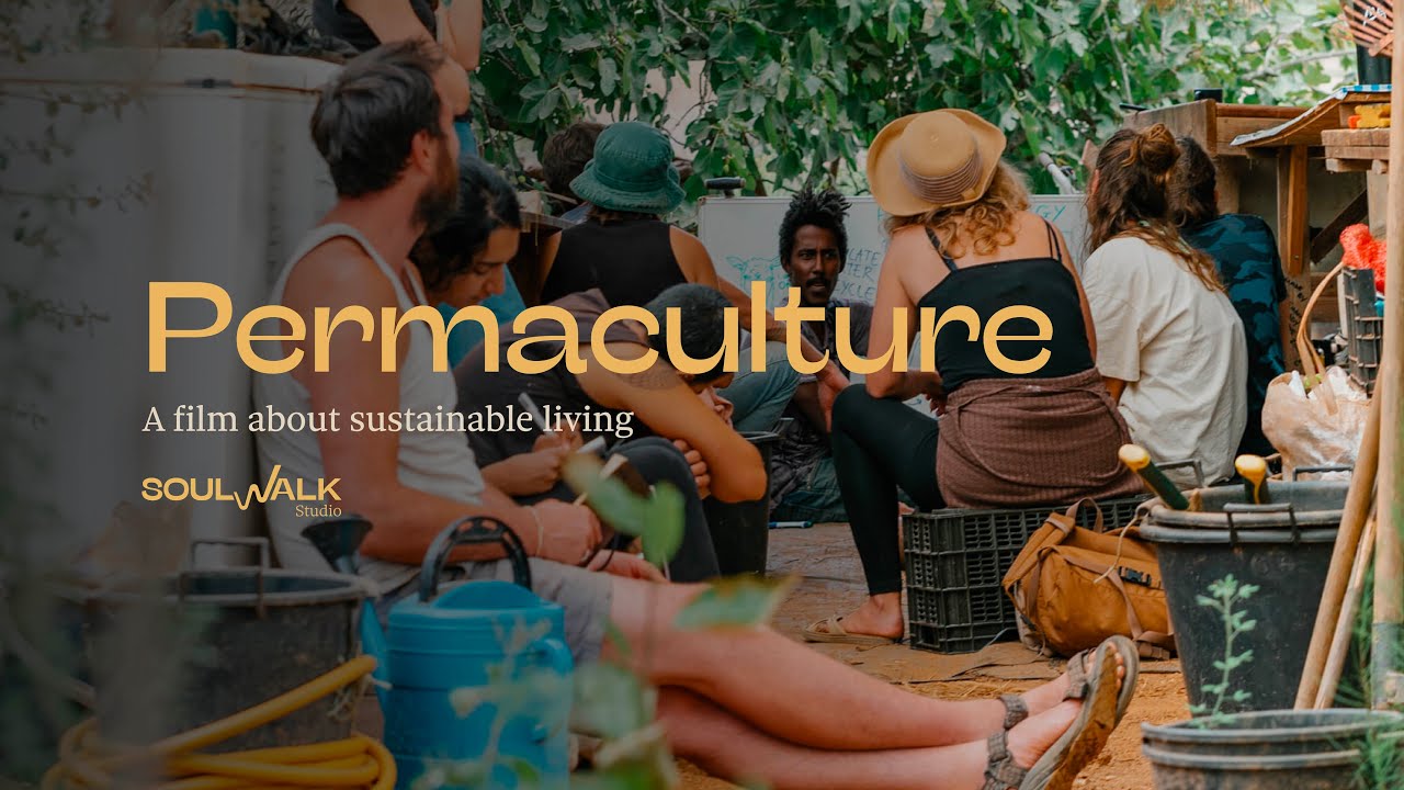 Empowering Change: The Permaculture Design Course (PDC) Journey at A Quinta da Lage, Portugal