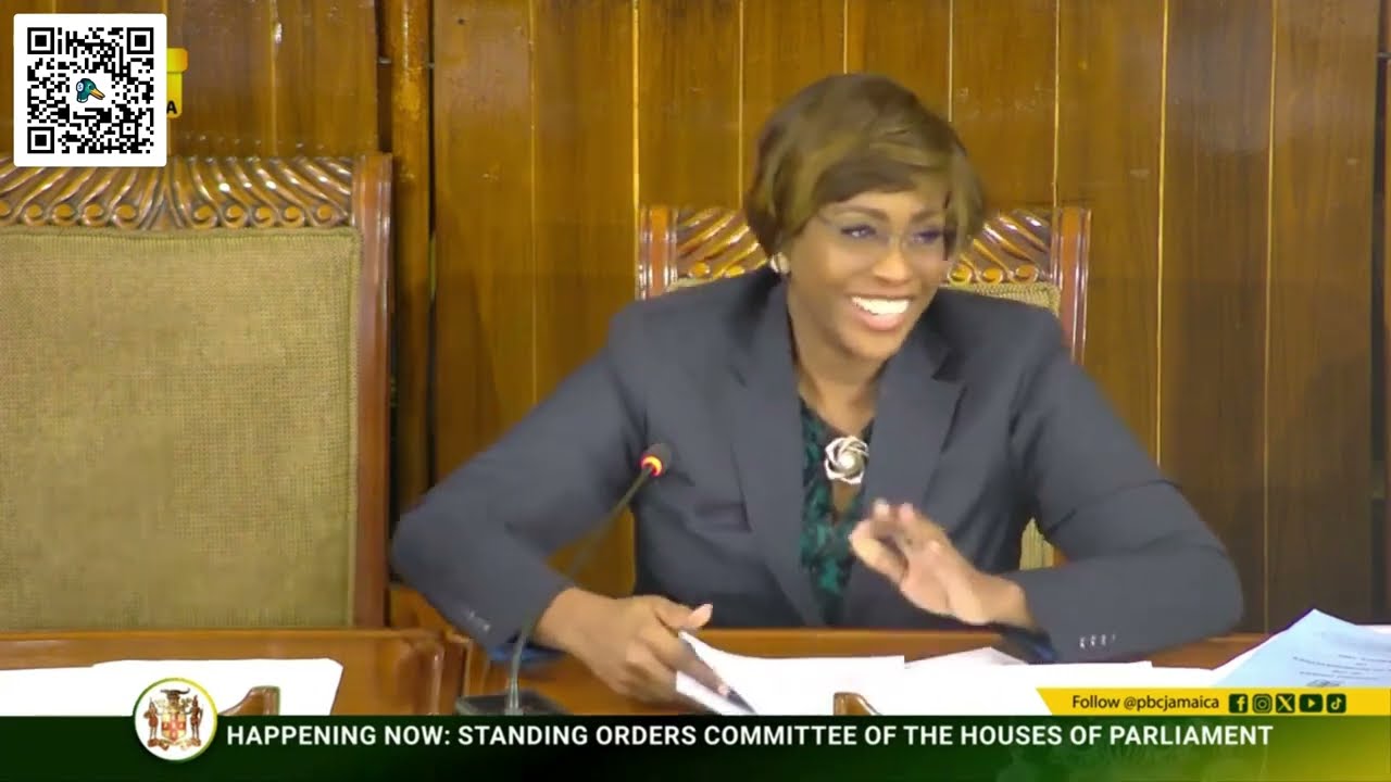 Why JLP HP have to be teacher PNP senior MP about Parliamentary procedures 