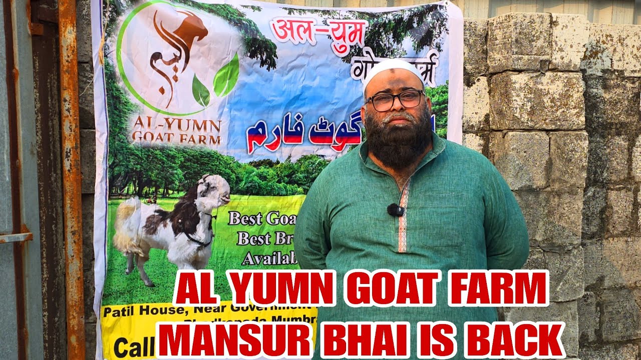 Al Yumn Goat Farm Mansur Bhai Is Back With The New Goat Farm Setup Mumbai Mumbra