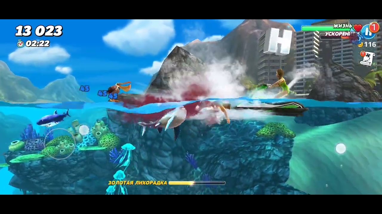 🔺🔻Shark World🔺shark pe🔺