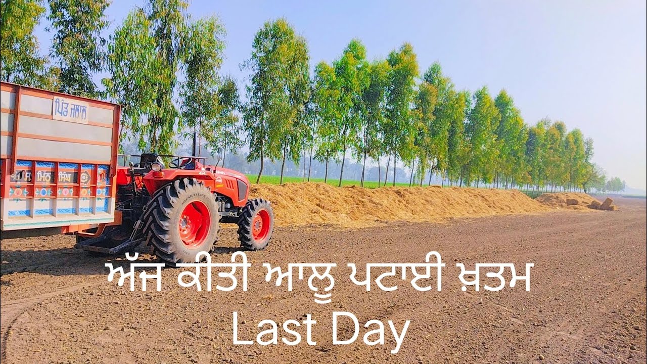 Potato🥔 ptai Last day ਦੇਖੋ ਝਾੜ😱#automobile #farming #jattvibes #agriculture #tractor #viral#trending
