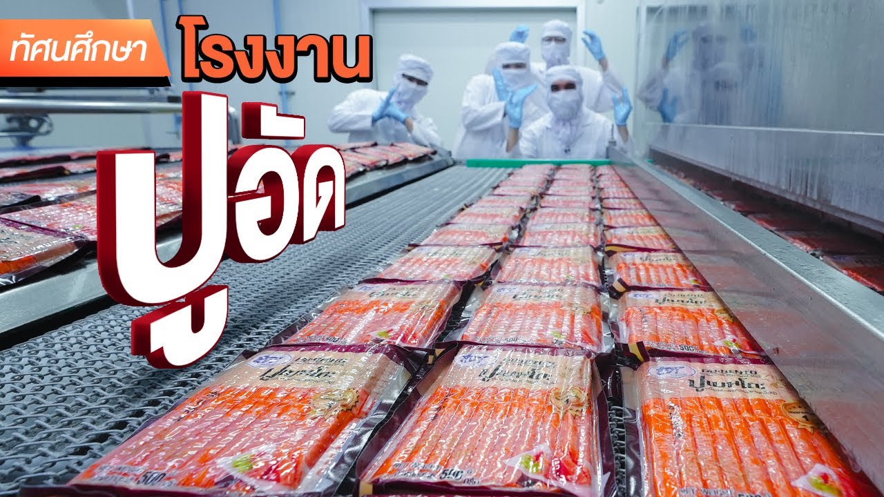 โรงงานปูอัด 7 ล้านชิ้น/วัน - ทัศนศึกษา [ENG SUB]